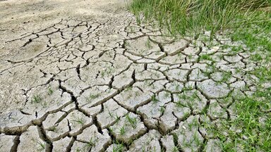 desertification